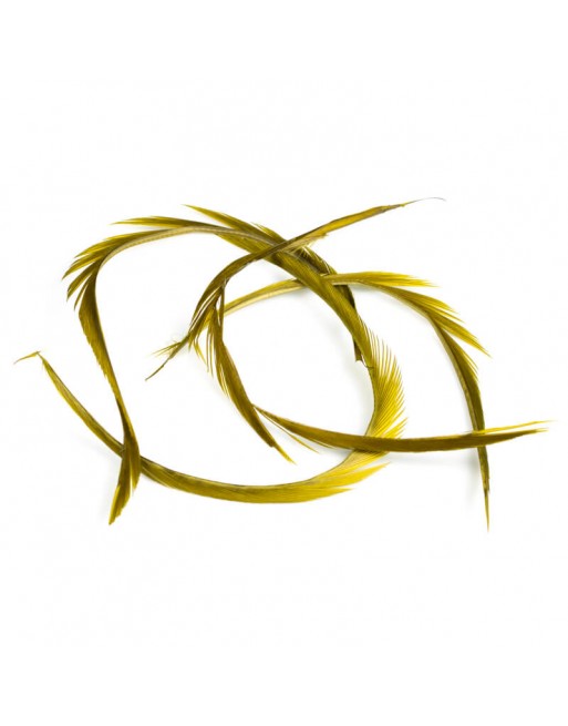 goose-biots-dark-olive