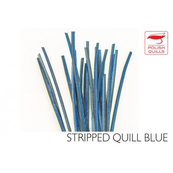 hand-stripped-quill-pq-blue