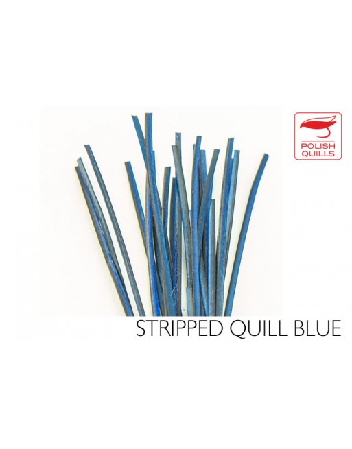 hand-stripped-quill-pq-blue