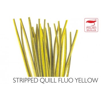 hand-stripped-quill-pq-fluo-yellow