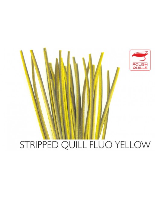 hand-stripped-quill-pq-fluo-yellow