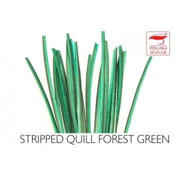 hand-stripped-quill-pq-forest-green