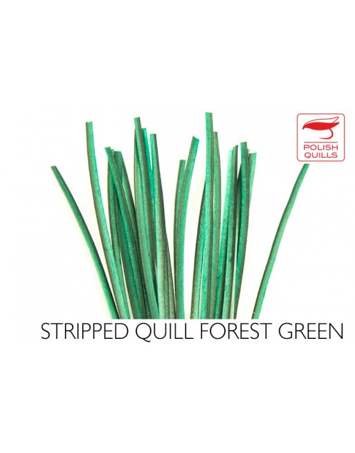 hand-stripped-quill-pq-forest-green