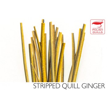 hand-stripped-quill-pq-ginger