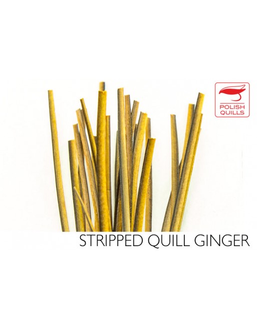 hand-stripped-quill-pq-ginger