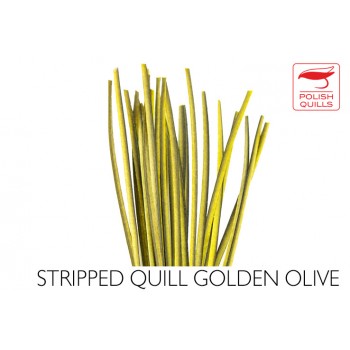 hand-stripped-quill-pq-golden-olive