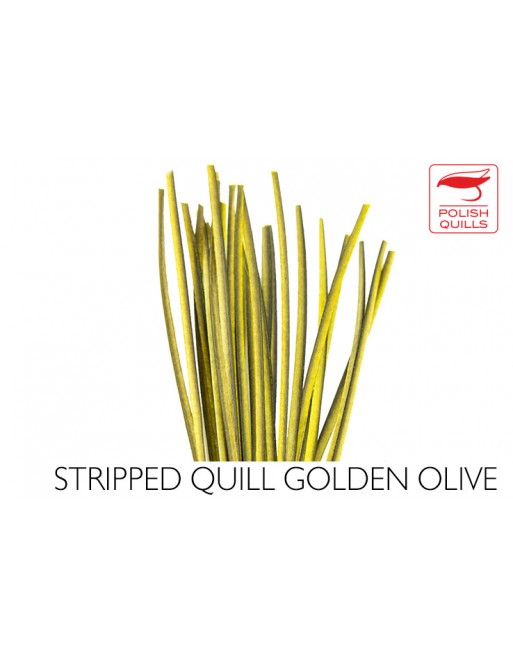 hand-stripped-quill-pq-golden-olive