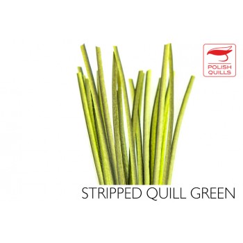 hand-stripped-quill-pq-green