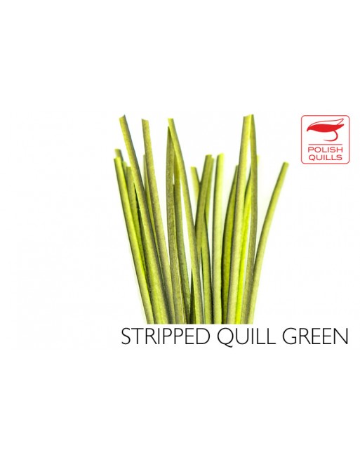 hand-stripped-quill-pq-green