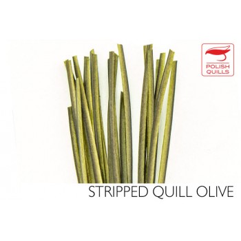 hand-stripped-quill-pq-olive