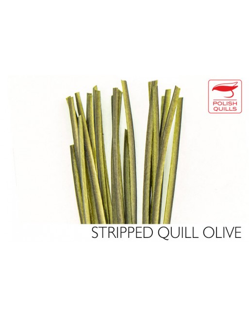 hand-stripped-quill-pq-olive