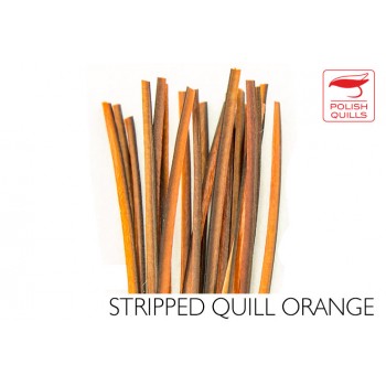 hand-stripped-quill-pq-orange