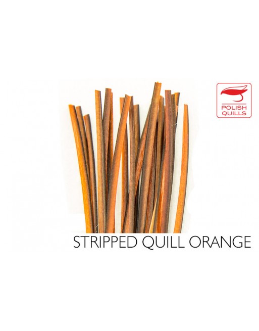 hand-stripped-quill-pq-orange