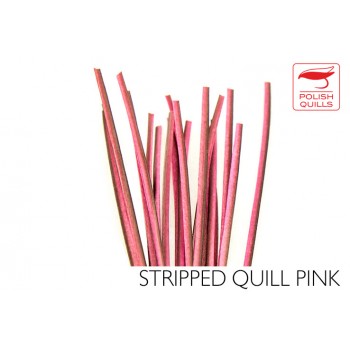 hand-stripped-quill-pq-pink