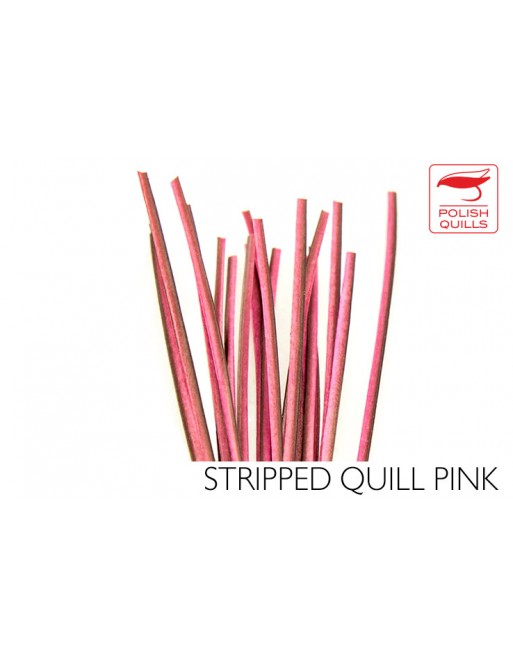 hand-stripped-quill-pq-pink