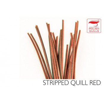 hand-stripped-quill-pq-red