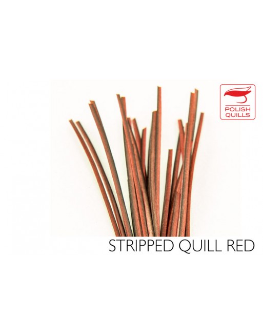 hand-stripped-quill-pq-red