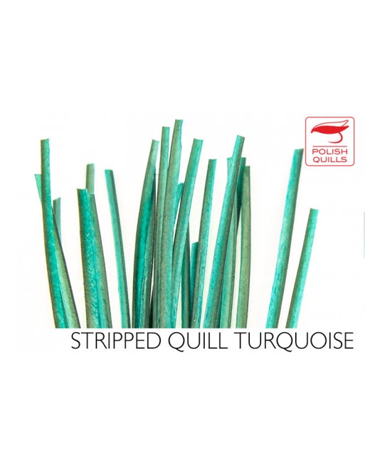 hand-stripped-quill-pq-turquoise