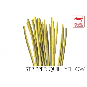 hand-stripped-quill-pq-yellow