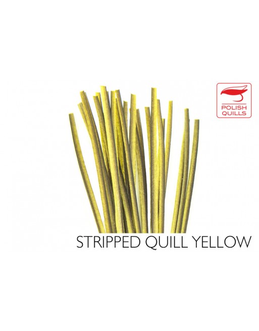 hand-stripped-quill-pq-yellow