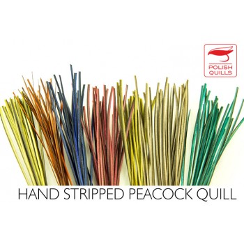Hand Stripped Quill PQ