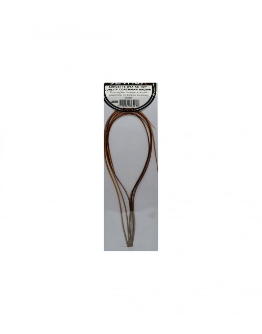 lancette-dvx-top-qualite-coachman-brown