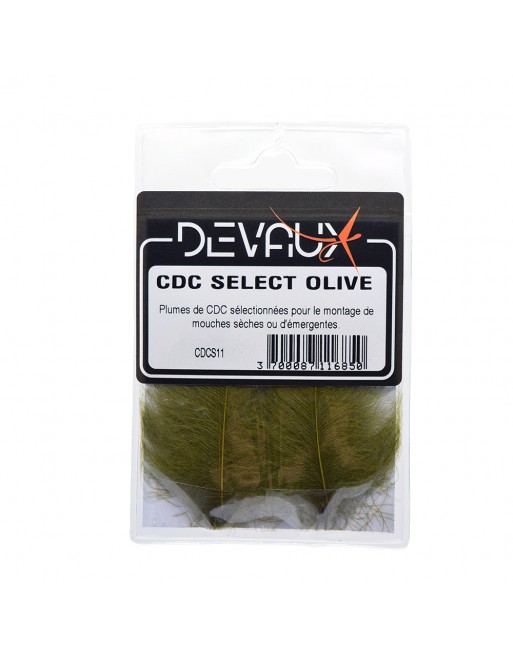 cdc-dvx-select-olive