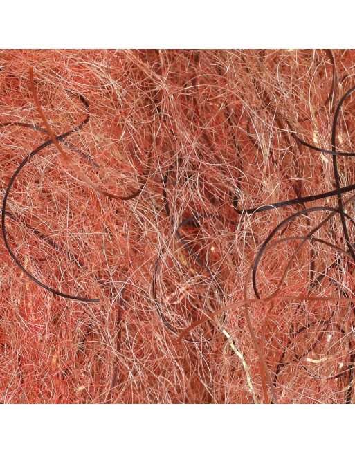 cohens-carp-db--rsty-nail