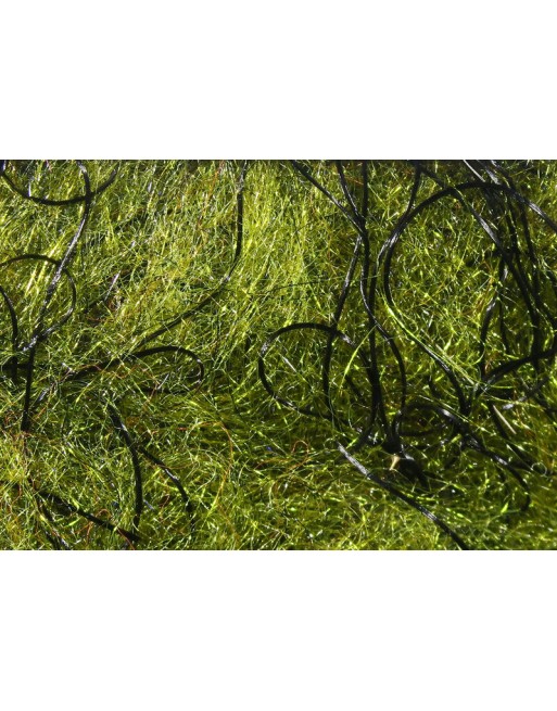 cohens-carp-db--rain-forest-green