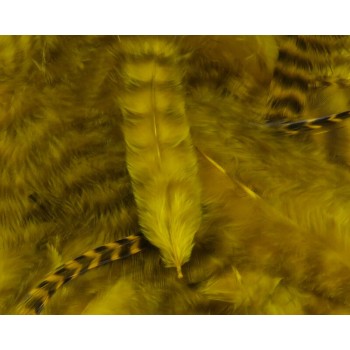 grizzly-soft-hackle-yellow-