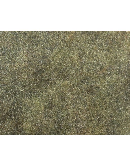 antron-dbbing-callibaetis-