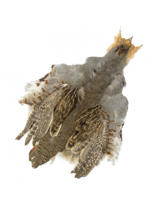 english-partridge-fll-skin