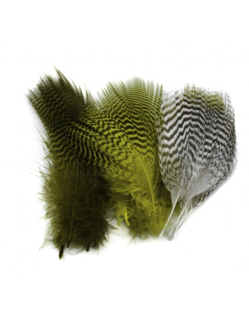 PLUMAS DE CERCETA DVX