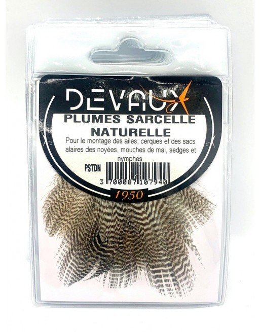 plumes-sarcelle-dvx-naturelle