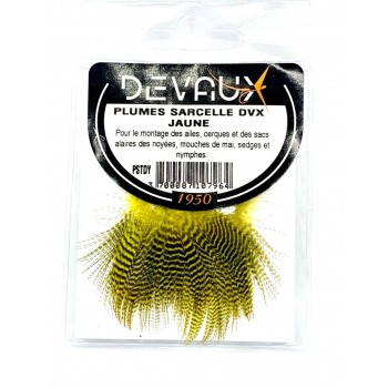 plumes-sarcelle-dvx-jaune