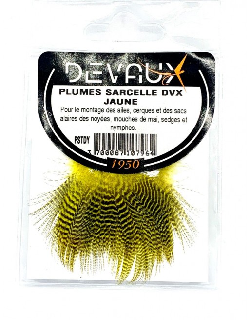 plumes-sarcelle-dvx-jaune