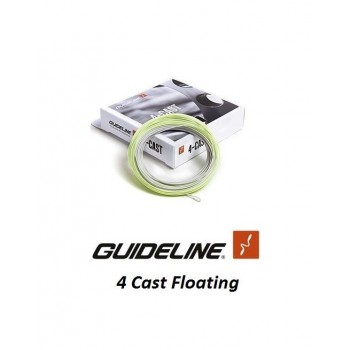 Guideline 4 Cast