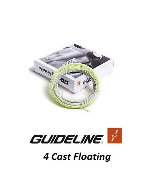 Guideline 4 Cast