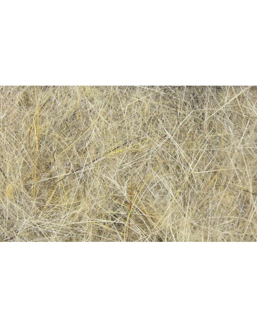 hares-ear-pls-db-hares-ear-